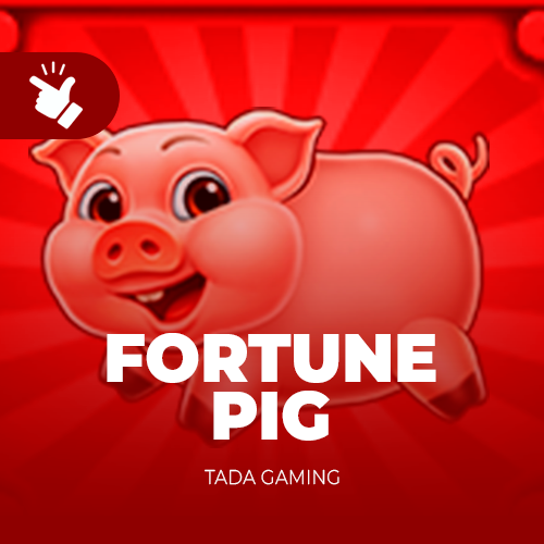 FortunePig
