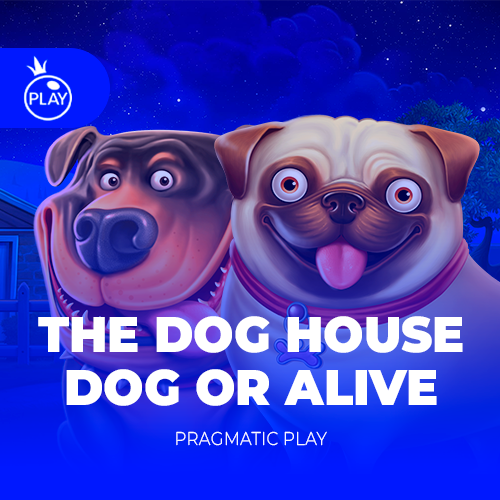 The Dog House – Dog or Alive